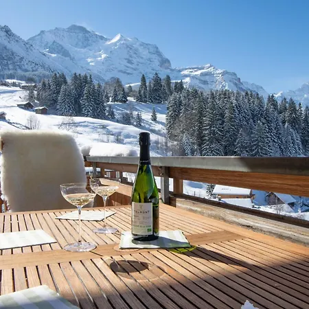 Silberhorn Penthouse アパート ヴェンゲン