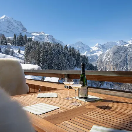 アパート Silberhorn Penthouse