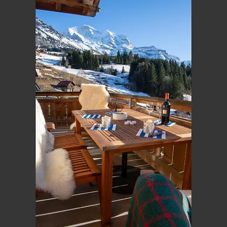 Appartement Silberhorn Penthouse Wengen