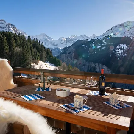 Silberhorn Penthouse Appartement *