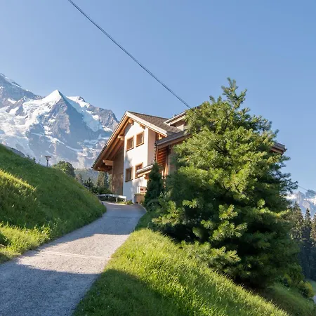 Silberhorn Penthouse Appartement