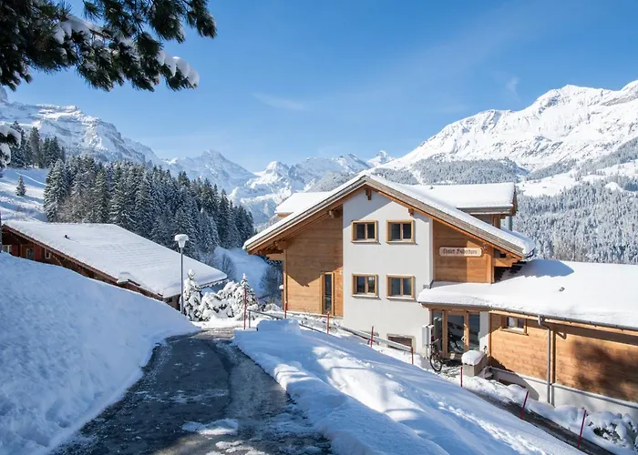 Silberhorn Penthouse Apartament Wengen